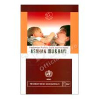 Pedoman Praktis Safe Motherhood : Asuhan Ibu Dan Bayi