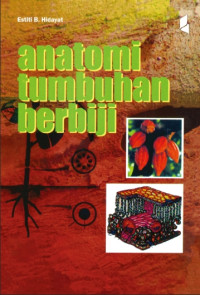 Anatomi Tumbuhan Berbiji