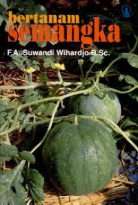 Bertanam semangka