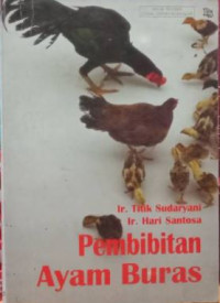 Pembibitan Ayam Buras