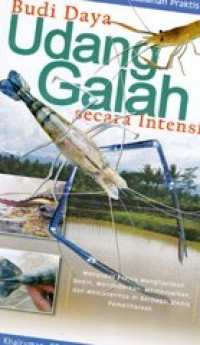 Image of Budi daya udang galah secara intensif