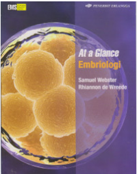 Image of At a Glance Embriologi