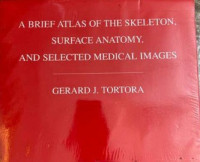 Image of A brief atlas of the skeleton, surface anatomy, and selected medical images